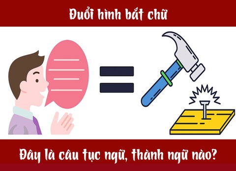 Câu tục ngữ, thành ngữ khó nhằn này là gì? (P31) - Ảnh 4. Câu tục ngữ, thành ngữ khó nhằn này là gì? (P31) - Ảnh 4.