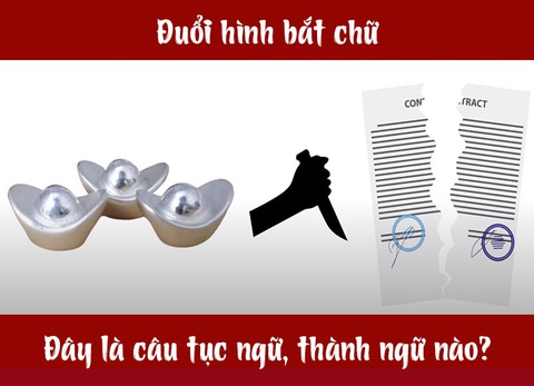 Câu tục ngữ, thành ngữ khó nhằn này là gì? (P31) - Ảnh 7.
