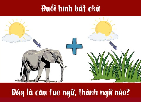 Câu tục ngữ, thành ngữ 'khó nhằn' này là gì? (P30) - Ảnh 4. Câu tục ngữ, thành ngữ 'khó nhằn' này là gì? (P30) - Ảnh 4.