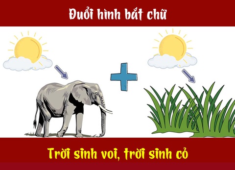 Câu tục ngữ, thành ngữ 'khó nhằn' này là gì? (P30) - Ảnh 1. Câu tục ngữ, thành ngữ 'khó nhằn' này là gì? (P30) - Ảnh 1.