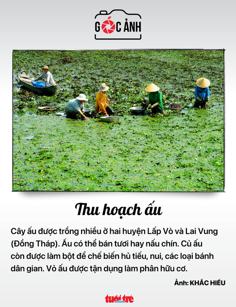 Tin tức sáng 2-7: Du lịch Việt thu 343.000 tỉ đồng; Hà Nội chưa chốt ngày tăng giá nước - Ảnh 11. Tin tức sáng 2-7: Du lịch Việt thu 343.000 tỉ đồng; Hà Nội chưa chốt ngày tăng giá nước - Ảnh 11.