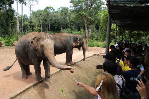 Khách du lịch vui thích khi đến Safari Phú Quốc vui chơi - Ảnh: CHÍ CÔNG Khách du lịch vui thích khi đến Safari Phú Quốc vui chơi - Ảnh: CHÍ CÔNG