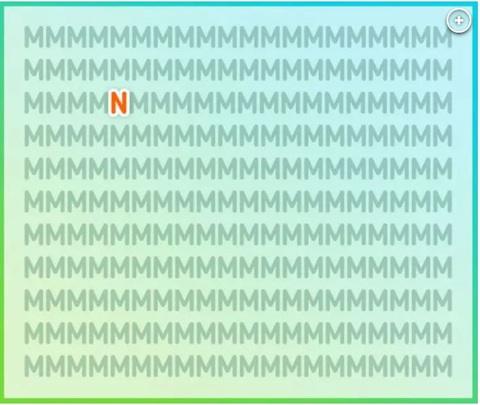 Người tinh mắt mới thấy 5 con bướm ẩn nấp giữa vườn hoa - Ảnh 9.