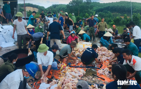 Dân làng xúm tay 'giải cứu' gà chết ngạt, trâu bị sét đánh - Ảnh 2. Người dân xúm tay làm thịt gà, bán giúp gia đình anh Phố - Ảnh: HÀ ANH