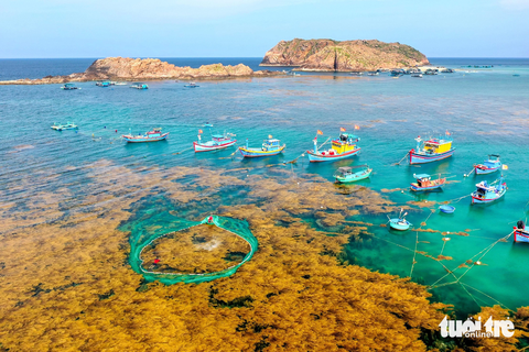 Vẻ đẹp độc đáo và yên bình của làng chài Nhơn Hải vào mùa rong biển chín - Ảnh: HƯƠNG MAI Vẻ đẹp độc đáo và yên bình của làng chài Nhơn Hải (TP Quy Nhơn) vào mùa rong biển chín - Ảnh: HƯƠNG MAI