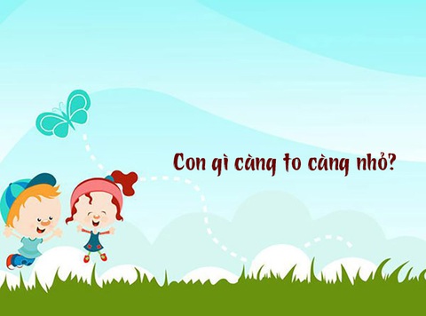 Câu đố hack não: Cái gì càng rửa thì càng bẩn? - Ảnh 10. Câu đố hack não: Cái gì càng rửa thì càng bẩn? - Ảnh 10.