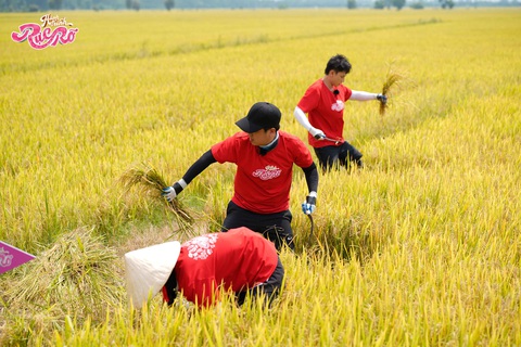 'Lục Vân Tiên' Isaac hát cải lương cực ngọt - Ảnh 7. Đội Trường Giang, Isaac, Bích Phương về đích trước với số lúa thu hoạch được là 10,5kg.