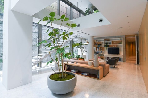 Giới siêu giàu đang 'chộp' lấy những căn hộ siêu sang ở Tokyo - Ảnh 2. Phòng khách của một căn hộ tại The Kita ở Tokyo - Ảnh: BLOOMBERG