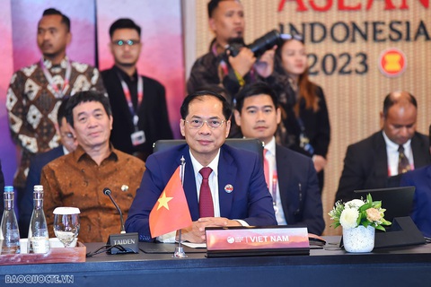 ASEAN kêu gọi đoàn kết nội bộ, khu vực không vũ khí hạt nhân - Ảnh 2. Bộ trưởng Ngoại giao Bùi Thanh Sơn trong phiên họp toàn thể AMM-56 ngày 11-7 - Ảnh: baoquocte.vn
