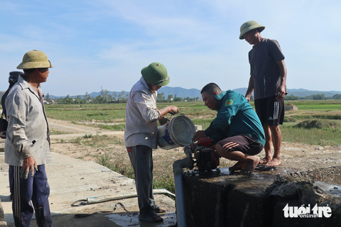Đồng khô lúa héo, hồ cạn cá chết vì nắng nóng kéo dài - Ảnh 9. Người dân đội nắng mang máy bơm dã chiến ra đồng để cứu lúa - Ảnh: DOÃN HÒA