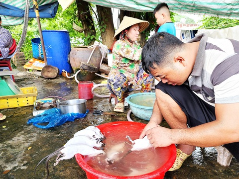 Cảnh báo thịt chuột đồng ăn bả thuốc - Ảnh 2. Khu vực cầu Phù Dật có trên 60 hộ bán thịt chuột nhiều năm - Ảnh: B.ĐẤU