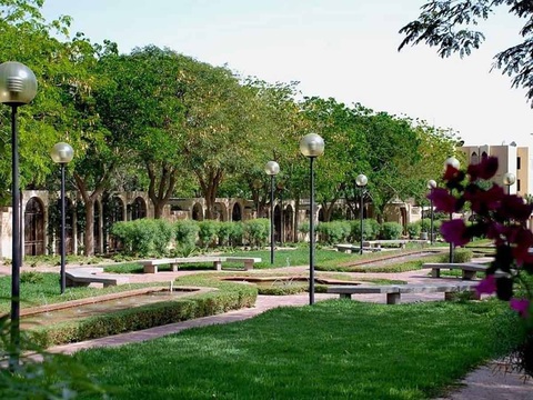 Saudi Arabia nỗ lực “xanh hóa” các khu dân cư tại thủ đô Riyadh - Ảnh 1. Saudi Arabia nỗ lực “xanh hóa” các khu dân cư tại thủ đô Riyadh - Ảnh 1.