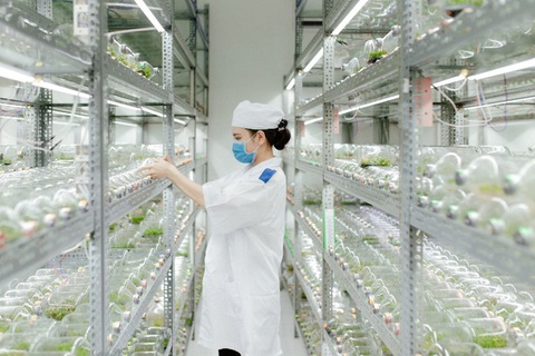 Học nghề tại Trường Trung cấp Vạn Tường - Ảnh 2. Học nghề tại Trường Trung cấp Vạn Tường - Ảnh 2.