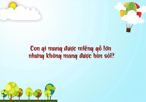 Câu đố hack não: Con gì mang được miếng gỗ lớn nhưng không mang được hòn sỏi? - Ảnh 1. Câu đố hack não: Con gì mang được miếng gỗ lớn nhưng không mang được hòn sỏi? - Ảnh 1.