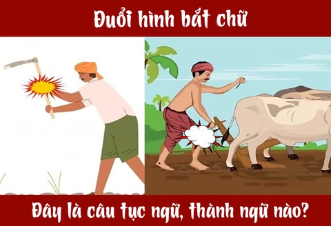 Câu tục ngữ, thành ngữ 'khó nhằn' này là gì? (P38) - Ảnh 1. Câu tục ngữ, thành ngữ 'khó nhằn' này là gì? (P38) - Ảnh 1.