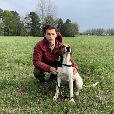 ‘Nhện nhọ’ Tom Holland chán ngán Hollywood - Ảnh 3. Nhện Nhọ đang dành toàn thời gian hưởng thụ cuộc sống bình thường