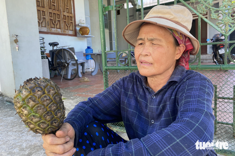 Trắng đêm khống chế vụ cháy rừng gần khu dân cư - Ảnh 3. Bà Đinh Thị Liên vớt vát lại được vài quả khóm sau vụ cháy - Ảnh: DOÃN HÒA
