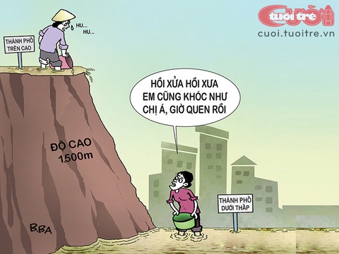 Khách du tìm đến thành phố... 1.500m trên mực nước biển - Ảnh 2. Người Đà Lạt dần làm quen với "đặc sản" ngập như các thành phố đồng bằng - Tranh biếm họa của B.Ba