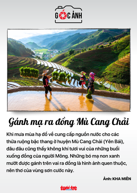 Tin tức sáng 15-7: - Ảnh 7. Tin tức sáng 15-7: - Ảnh 7.