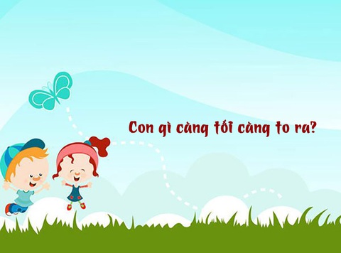 Câu đố hack não: Con gì càng tối càng to ra? - Ảnh 1. Câu đố hack não: Con gì càng tối càng to ra? - Ảnh 1.