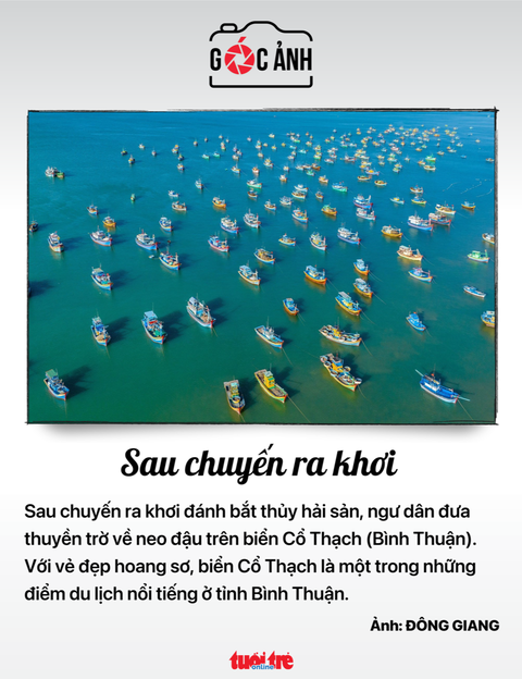 Tin tức sáng 16-7: UBND TP.HCM chỉ đạo siết chặt, không cấp phép lái xe cho người nghiện ma túy - Ảnh 5. Tin tức sáng 16-7: UBND TP.HCM chỉ đạo siết chặt, không cấp phép lái xe cho người nghiện ma túy - Ảnh 5.