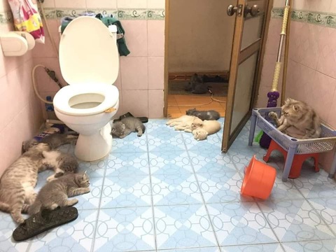 Ảnh vui 16-7: Hồng Đen đã đến khu vực của bạn! - Ảnh 3. Khi có "việc" nhưng vẫn bị dò xét.