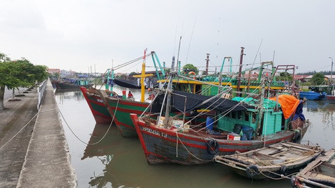 Sẵn sàng ứng phó bão số 1 - Ảnh 1. Ngư dân neo đậu tàu thuyền tại cảng cá thuộc quận Đồ Sơn, TP Hải Phòng trong chiều 16-7 - Ảnh: TIẾN THẮNG