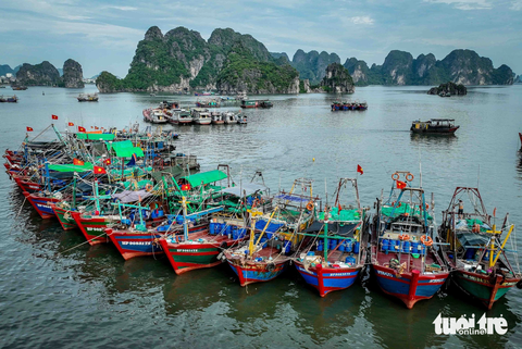 Bão số 1: Hải Phòng, Quảng Ninh đưa hơn 10.000 khách về bờ, người dân chằng chéo hàng quán - Ảnh 1. Tàu cá neo đậu tại khu vực cảng cá Hạ Long (Quảng Ninh) để tránh bão số 1 - Ảnh: NGUYỄN KHÁNH