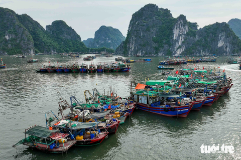 Bão số 1: Hải Phòng, Quảng Ninh đưa hơn 10.000 khách về bờ, người dân chằng chéo hàng quán - Ảnh 9. Tỉnh Quảng Ninh cho phép các tàu được chạy về nơi tránh trú và kết thúc công việc này trước 18h chiều 17-7 - Ảnh: NGUYỄN KHÁNH