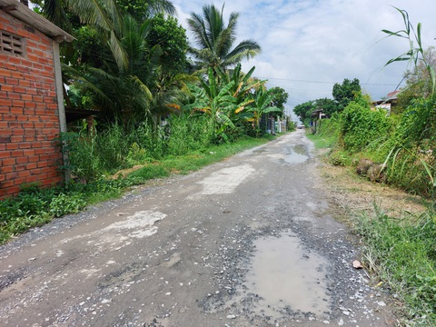 Người dân Vĩnh Long than phí qua phà An Phước quá cao - Ảnh 2. Đường xuống bến phà An Phước nước đọng thành vũng - Ảnh: TỐNG KHOA