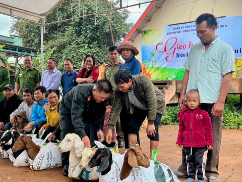 Công an huyện tặng dê giống cho 6 gia đình tù tha trở về phát triển kinh tế, không nghe lời kẻ xấu - Ảnh: M.P. Công an huyện tặng dê giống cho 6 gia đình có người bị tù, đã hoàn lương trở về buôn làng - Ảnh: M.P.