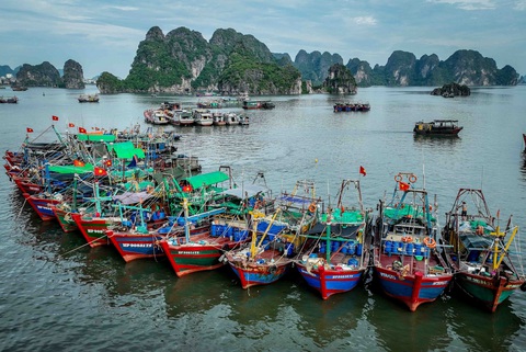 Từ nay đến hết năm, khả năng có 3 đến 5 cơn bão, áp thấp nhiệt đới hoạt động ở Biển Đông - Ảnh 1. Tàu thuyền neo đậu ứng phó với bão trong năm 2023 - Ảnh: NGUYỄN KHÁNH