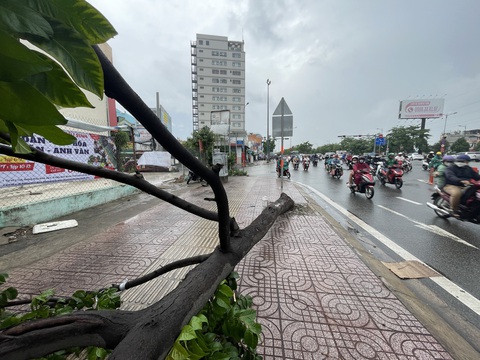 Sau bão, thời tiết ngày mai 19-7 như thế nào? - Ảnh 1. Cây xanh gãy đổ tại TP.HCM do mưa kèm dông gió mạnh chiều 17-7. Dự báo thời tiết ngày mai cả nước vẫn còn duy trì mưa - Ảnh: LÊ PHAN