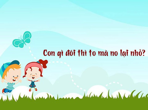Câu đố hack não: Con gì đói thì to mà no lại nhỏ? - Ảnh 1. Câu đố hack não: Con gì đói thì to mà no lại nhỏ? - Ảnh 1.