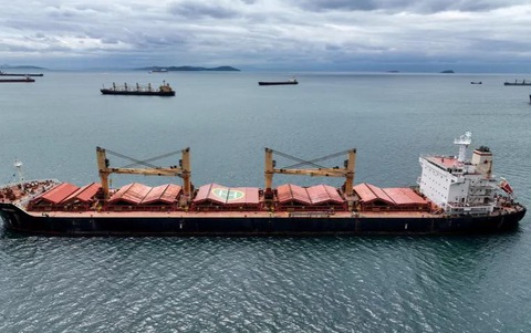 Nga rút khỏi thỏa thuận ngũ cốc, nước nào sẽ bị ảnh hưởng? - Ảnh 1. Thỏa thuận cho phép các tàu thương mại xuất khẩu ngũ cốc và phân bón qua các cảng Biển Đen của Ukraine và eo biển Bosporus - Ảnh REUTERS