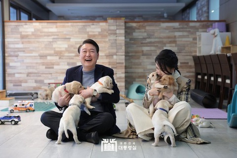Thịt chó và những cuộc tranh cãi không hồi kết tại Hàn Quốc - Ảnh 3. Tổng thống Hàn Quốc Yoon Suk Yeol và đệ nhất phu nhân nổi tiếng là những người yêu động vật - Ảnh: VĂN PHÒNG TỔNG THỐNG HÀN QUỐC