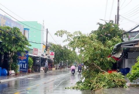 Mưa, dông làm đổ ngã cây xanh trên đường (thuộc địa bàn TP Rạch Giá, Kiên Giang) - Ảnh: CHÍ CÔNG Mưa, dông làm đổ ngã cây xanh trên đường (thuộc địa bàn TP Rạch Giá, Kiên Giang) - Ảnh: CHÍ CÔNG