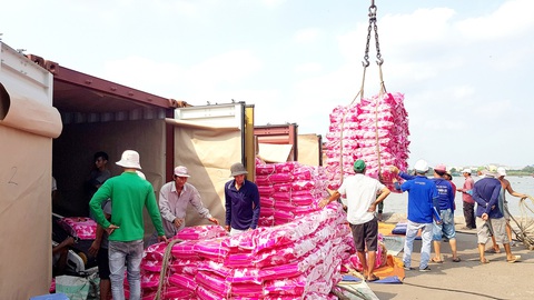 Công nhân cảng Mỹ Thới, TP Long Xuyên, An Giang đóng thùng container xuất khẩu gạo đi các nước châu Phi - Ảnh: B.ĐẤU Công nhân cảng Mỹ Thới, TP Long Xuyên, An Giang đóng thùng container xuất khẩu gạo đi các nước châu Phi - Ảnh: B.ĐẤU