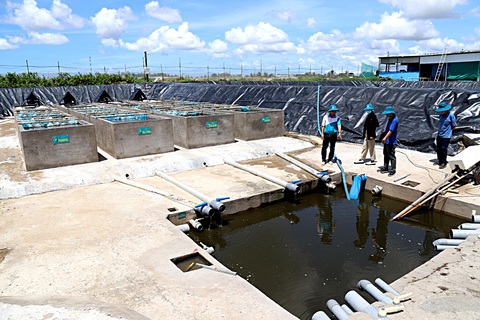 Khu gom nước về để xử lý tuần hoàn nước và khu xử lý chất thải tại xã Vĩnh Trạch, TP Bạc Liêu - ẢNH: CHÍ QUỐC Khu gom nước về để xử lý tuần hoàn nước và khu xử lý chất thải tại xã Vĩnh Trạch, TP Bạc Liêu - ẢNH: CHÍ QUỐC