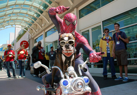 Chú chó trị liệu Chopper The Biker Dog thu hút mọi ánh nhìn khi xuất hiện tại San Diego Comic Con (Nguồn: FB Chopper The Biker Dog) Chú chó trị liệu Chopper The Biker Dog thu hút mọi ánh nhìn khi xuất hiện tại San Diego Comic Con (Nguồn: FB Chopper The Biker Dog)