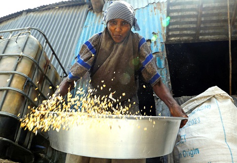 Một người dân Somalia sàng lúa mì nhập khẩu từ Ukraine tại khu chợ ngoài trời Bakara ở thủ đô Mogadishu, Somalia vào ngày 15-7 - Ảnh: Reuters Một người dân Somalia sàng lúa mì nhập khẩu từ Ukraine tại khu chợ ngoài trời Bakara ở thủ đô Mogadishu, Somalia vào ngày 15-7 - Ảnh: Reuters