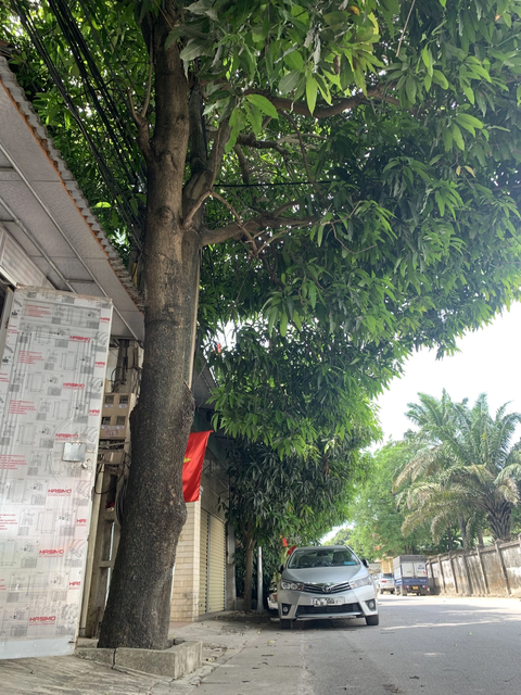 ‘Du lịch bằng ô tô tự lái rẻ hơn hẳn’ - Ảnh 2. ‘Du lịch bằng ô tô tự lái rẻ hơn hẳn’ - Ảnh 2.