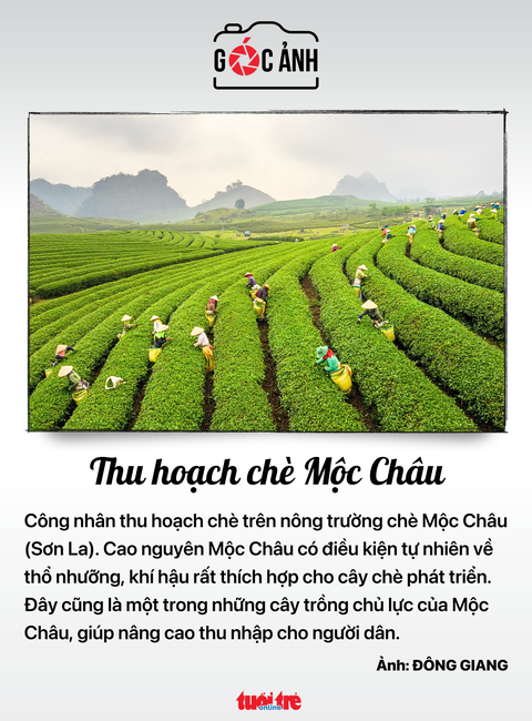 Tin tức sáng 3-7: Trẻ nhập viện do tai nạn tăng; TP.HCM làm việc với Singapore phát triển buýt điện - Ảnh 10. Tin tức sáng 3-7: Trẻ nhập viện do tai nạn tăng; TP.HCM làm việc với Singapore phát triển buýt điện - Ảnh 10.