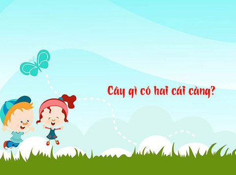 Câu đố hack não: Cá gì biết làm toán? - Ảnh 4. Câu đố hack não: Cá gì biết làm toán? - Ảnh 4.