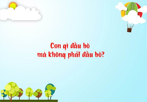 Câu đố hack não: Con gì đầu bò mà không phải đầu bò? - Ảnh 1. Câu đố hack não: Con gì đầu bò mà không phải đầu bò? - Ảnh 1.