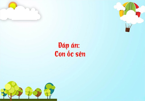 Câu đố hack não: Con gì đầu bò mà không phải đầu bò? - Ảnh 3.