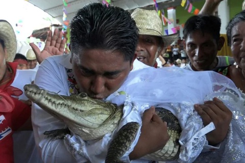 Thị trưởng ở Mexico cưới... cá sấu để cầu may - Ảnh 1. Thị trưởng ở Mexico cưới... cá sấu để cầu may - Ảnh 1.