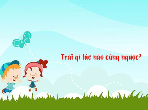Câu đố hack não: Con gì đầu bò mà không phải đầu bò? - Ảnh 4. Câu đố hack não: Con gì đầu bò mà không phải đầu bò? - Ảnh 4.