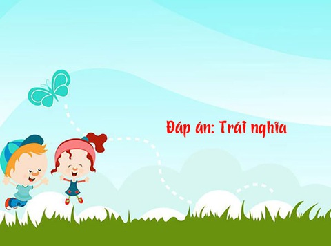Câu đố hack não: Con gì đầu bò mà không phải đầu bò? - Ảnh 6.
