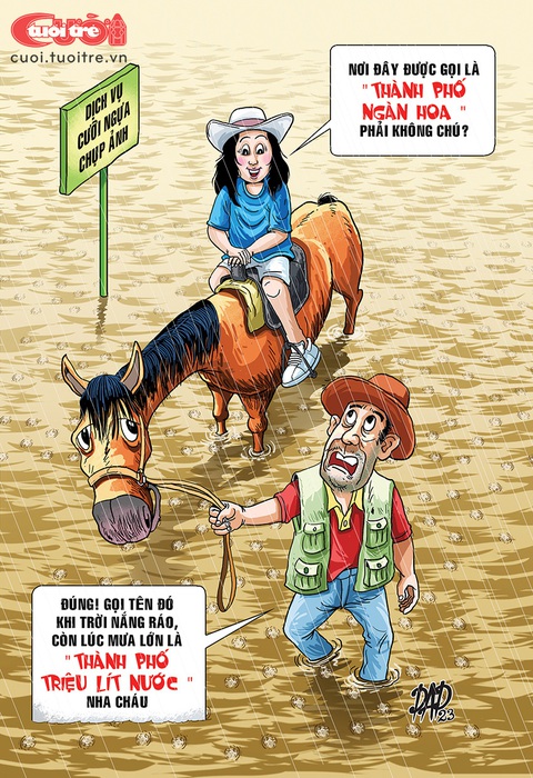 Đà Lạt không còn là thành phố ngàn hoa? - Ảnh 1. Đà Lạt không còn là thành phố ngàn hoa? - Ảnh 1.